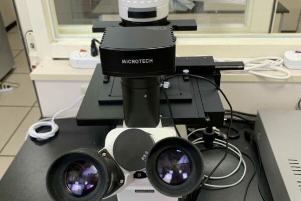 Optical Microscope