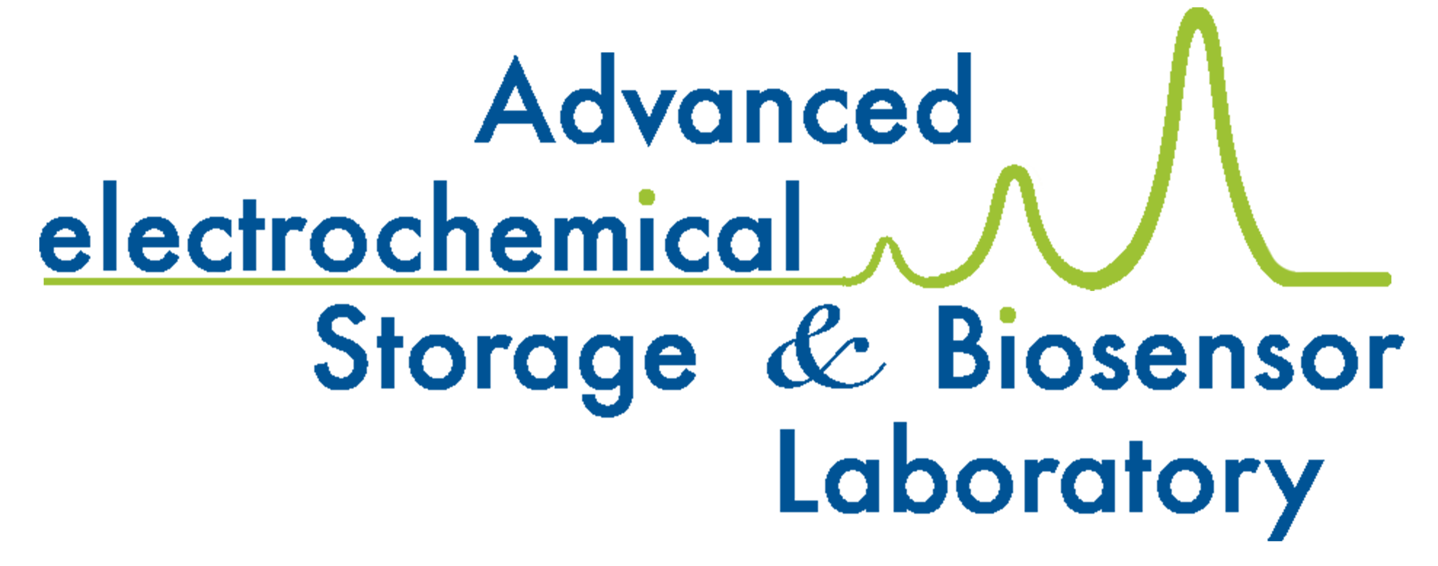 Advanced Electrochemical Storage and Biosensor Laboratory